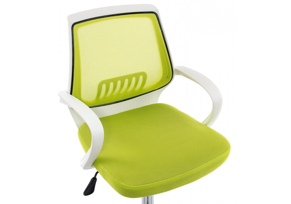 Компьютерное кресло Ergoplus белое / зеленое